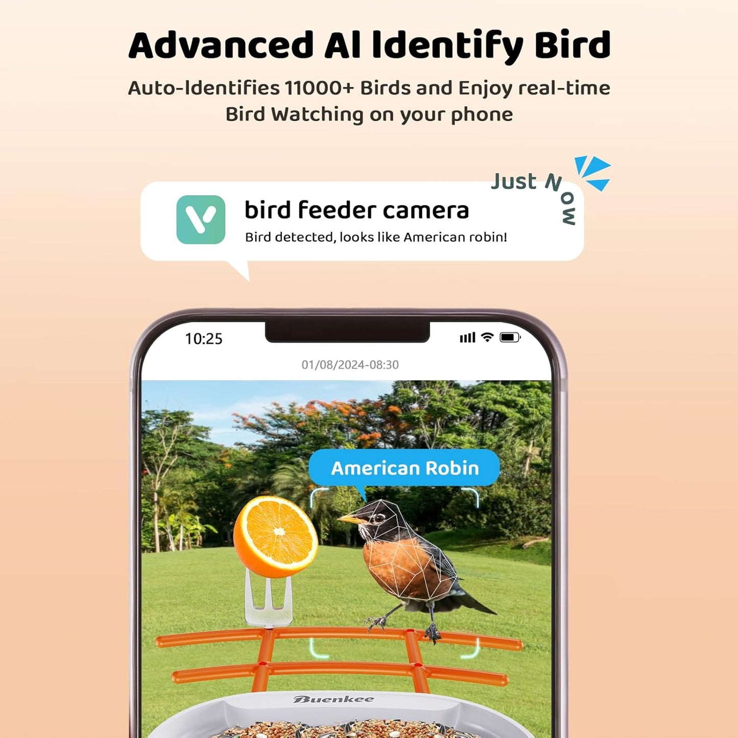 Buenkee Bird Feeder with Camera, 5 DIY Add-ons & 64GB Card Record Bird Video Bird House for Outside, 2.4G WiFi Bird Feeder Camera Wireless Outdoor House-Bird Watching Gifts