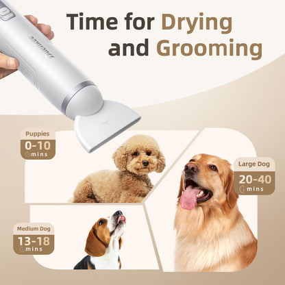 Buenkee Dog Blow Dryer for Pet Grooming Handheld Lightweight Dog Cat Hair Dryer 3 Speeds 4 Temp, Portable 3HP High Velocity Pet Blower Quiet Dryer for Travel Campaign Home, with 3 Nozzles